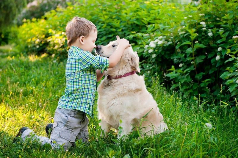 Are Golden Retriever Good With Kids