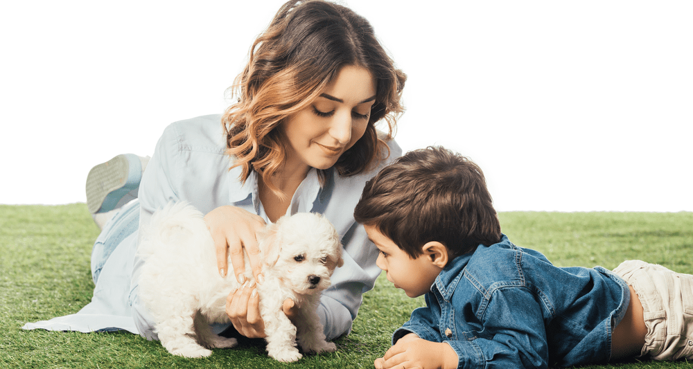 Are Havanese Puppies Good with Kids
