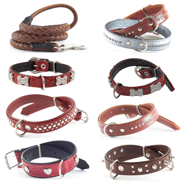 Luxury Leather Dog Collars -5 Top Picks