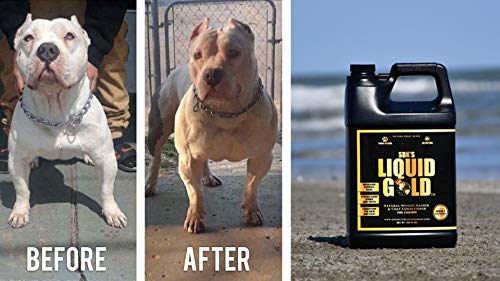 Liquid Gold for dogs before and after