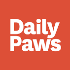 daily paws