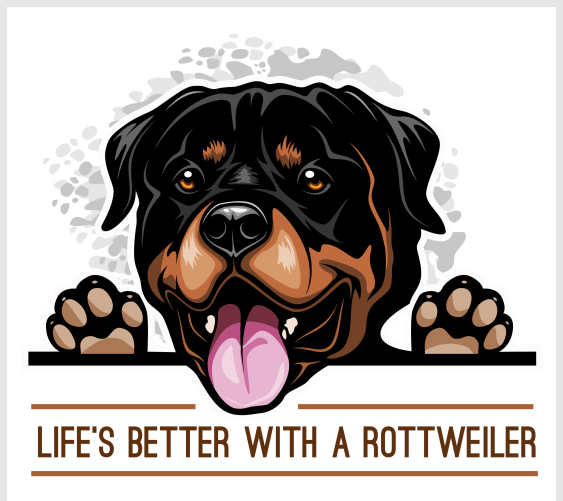 Rottweiler Every Information You Need to Know About This Dog