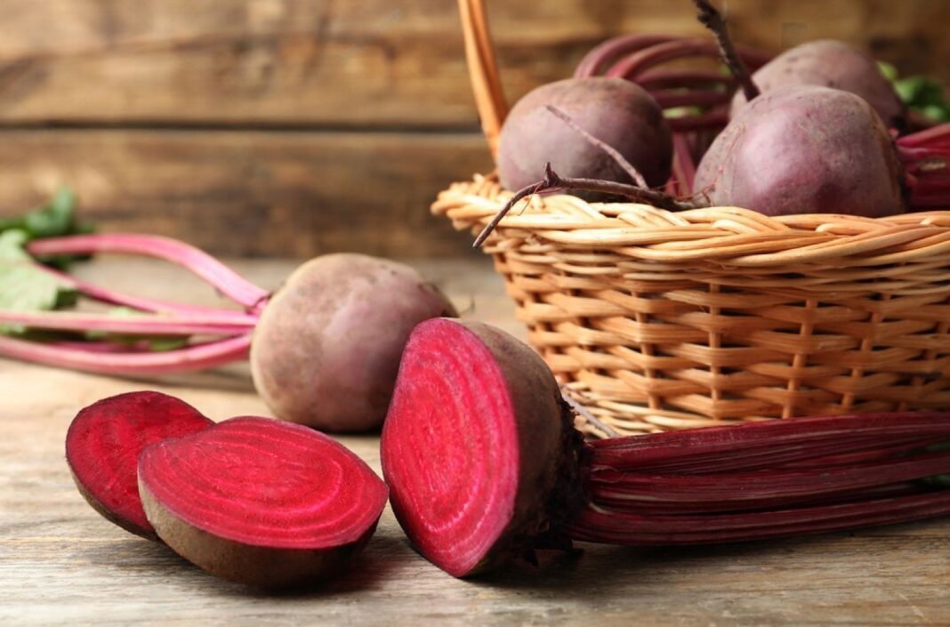 Can Dogs Eat Beets? The Surprising Truth Revealed - Petsmartgo