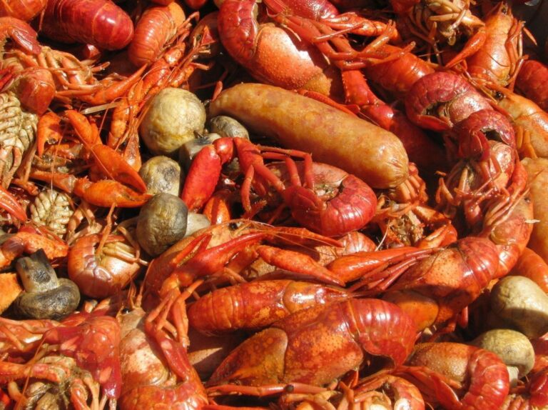 Can Dogs Eat Crawfish? Everything You Need to Know - Petsmart