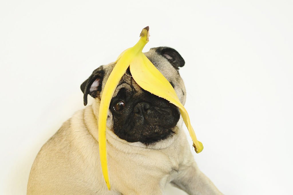 can you give a dog banana for diarrhea