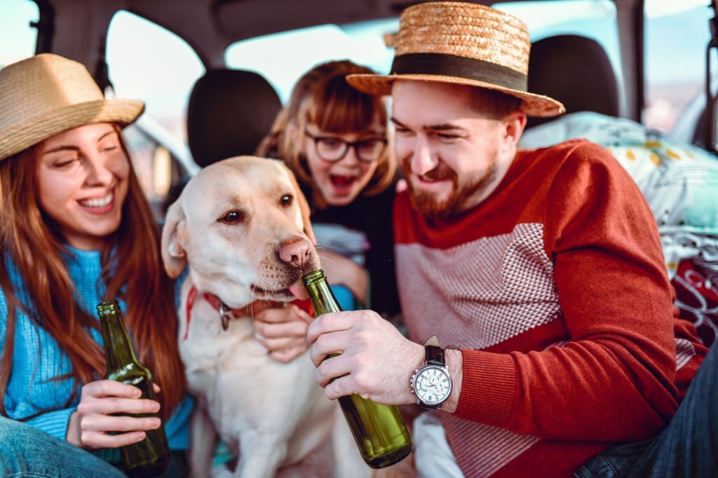 Surprising Reasons Why Dogs like Beer