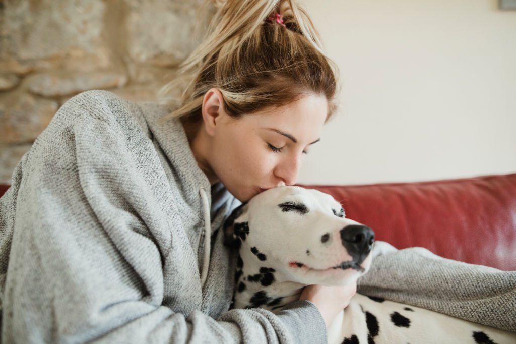 Do Dogs Understand Kisses?