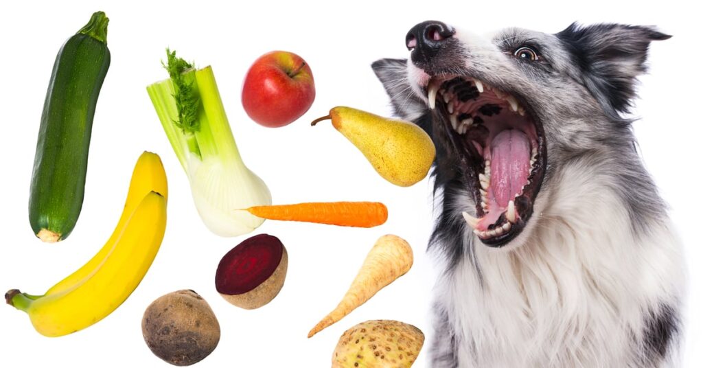 Can Dogs Eat Fennel?