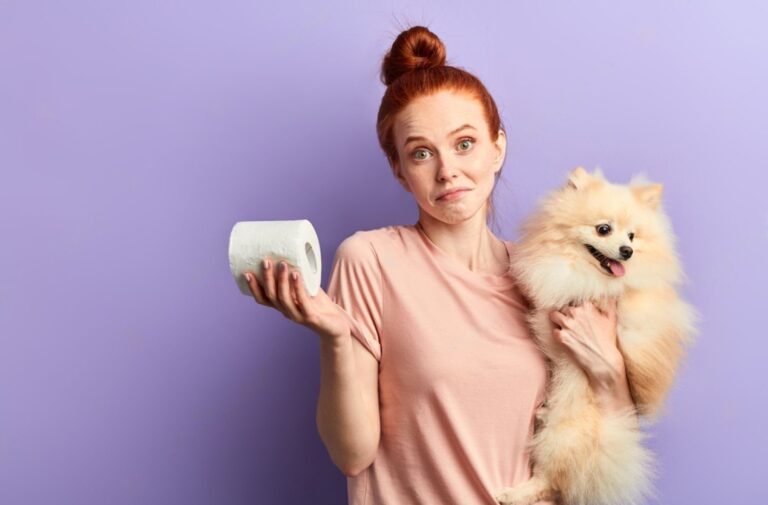 My Dog Hasn't Pooped in 2 Days What to Do? Petsmartgo