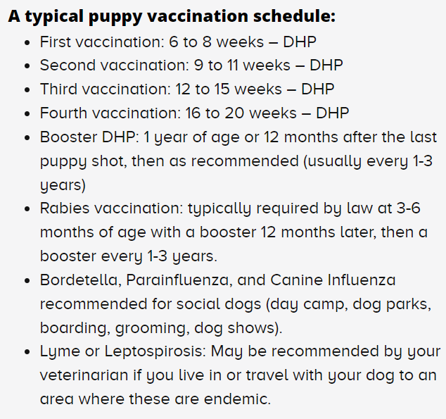 A typical puppy vaccination schedule