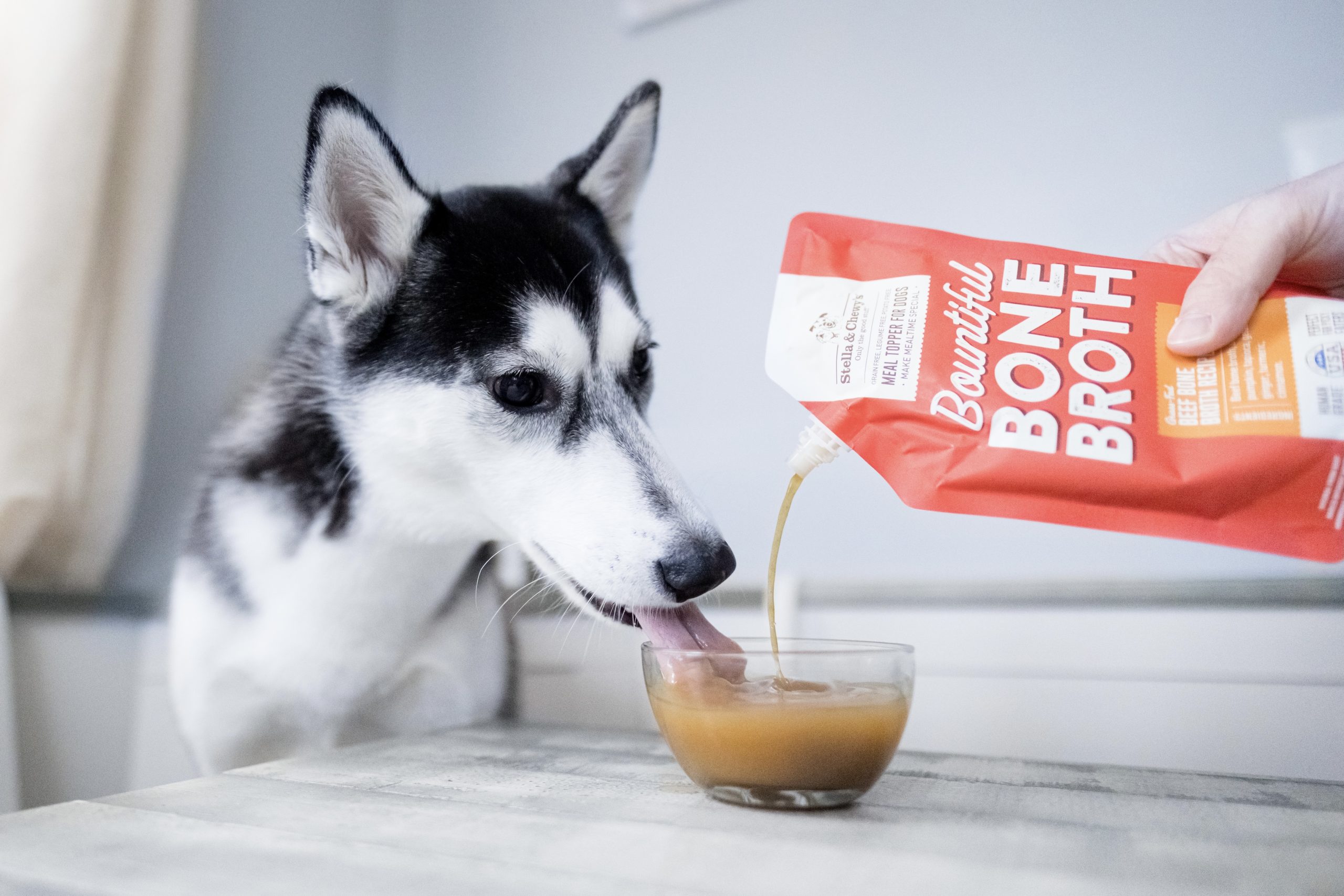 Is Beef Broth Good For Dogs