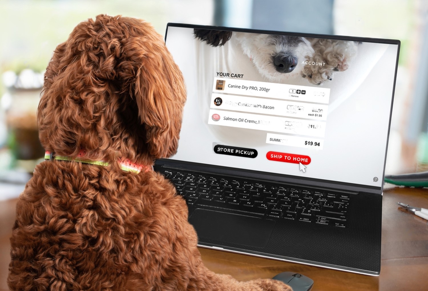 PetSmart Delivery Your New Shopping Solution Petsmartgo