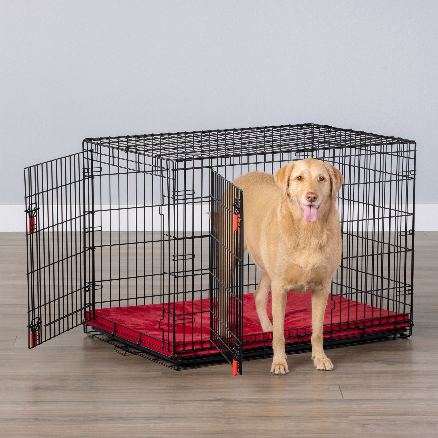How to Choose the Right PetSmart Crates for Your Dogs Petsmartgo