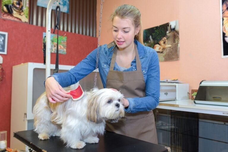 How to Easily Schedule a PetSmart Grooming Appointment Online Petsmartgo