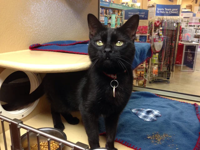Petsmart Ottawa Review (Updated) 3 Petsmart Ottawa