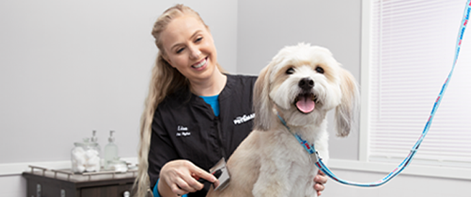 PetSmart Grooming Hours When To Schedule Your Furry Friend s Pampering 