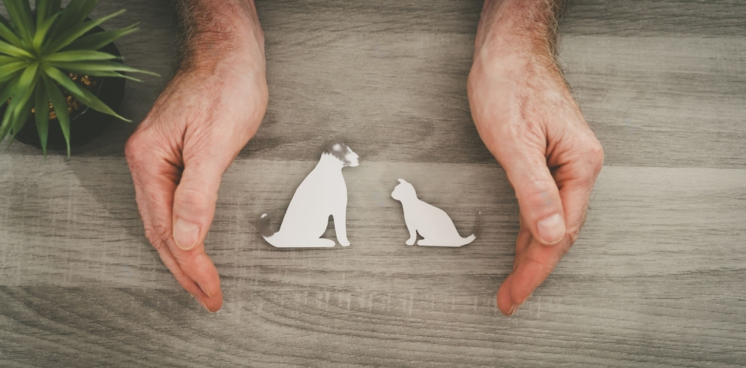 How Much Is Pet Insurance? Petsmartgo