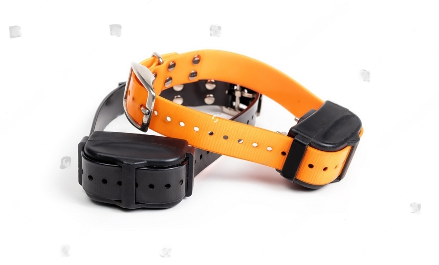 How to Pick a Bark Collar For Small Dogs Petsmartgo