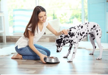 When Should You Transition From Puppy To Adult Dog Food