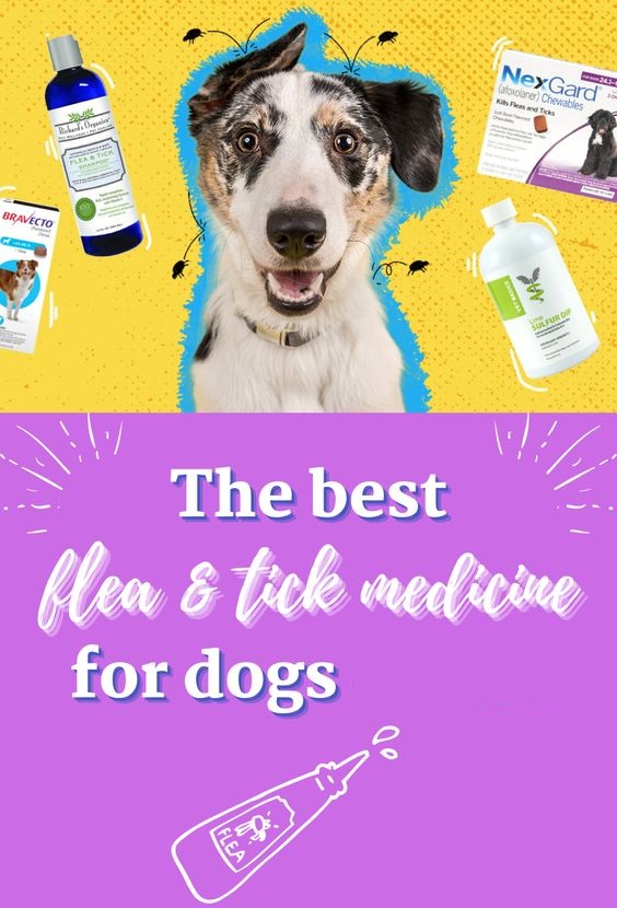 Do I Need A Prescription For Dog Flea Medicine