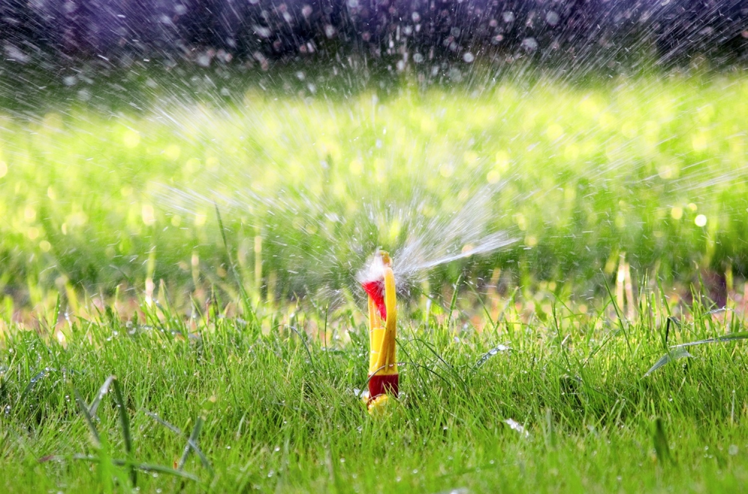 How To Adjust Rain Bird Sprinklers Petsmartgo