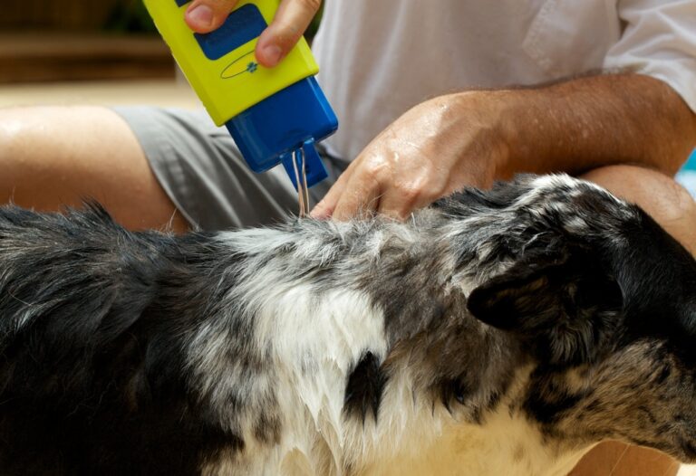 Best Flea Shampoo For Dogs Petsmartgo