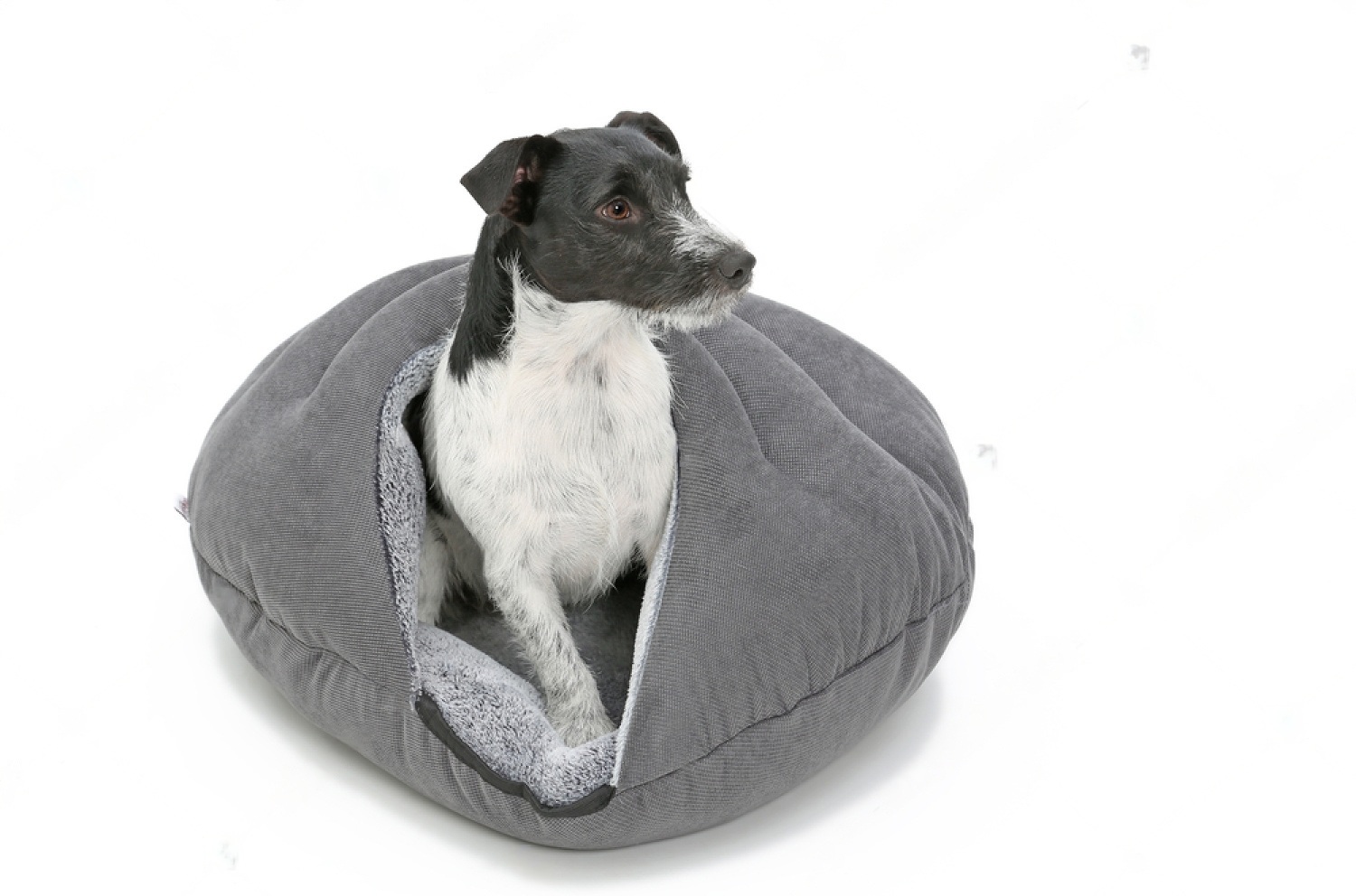 Petsmart Dog Beds Orthopedic - Petsmart