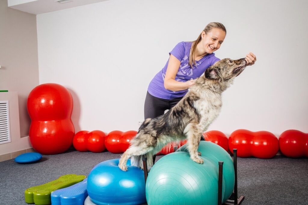 how long is petsmart puppy training