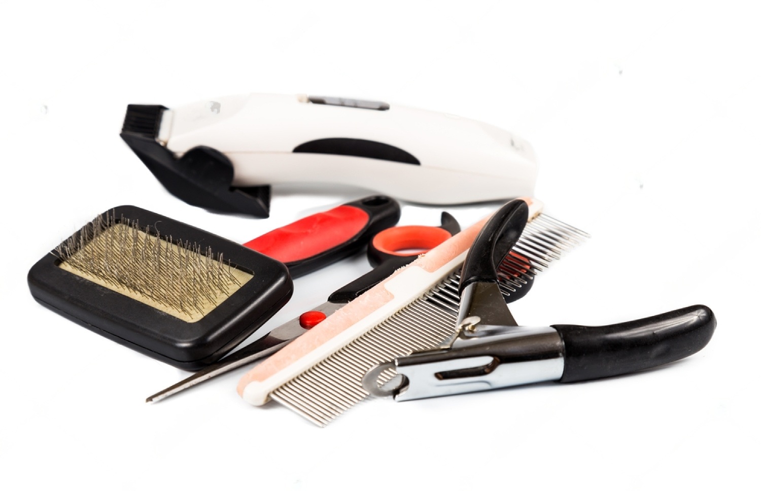 PetSmart Grooming Prices for Dogs Petsmartgo