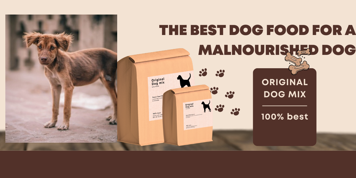 How to Keep Your Home FurFree with the Best Dog Food for Shedding