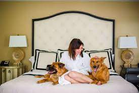 Dog-Friendly Hotels: "Traveling with Pets: The Best Dog-Friendly Hotels for a Worry-Free Stay" 1 Dog-Friendly Hotels